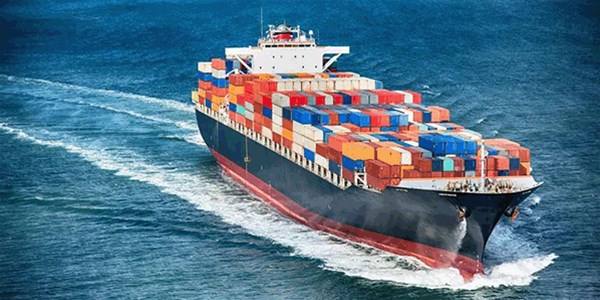 Why do we need to find a freight forwarder for sea freight booking? Can't we book directly with the shipping company?