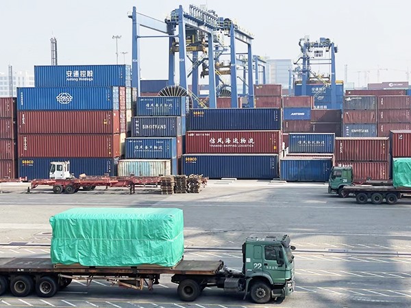 Customs declaration/inspection and loading supervision services in South China